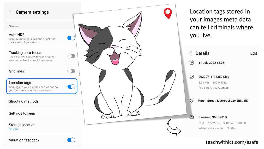 I know where your cat lives